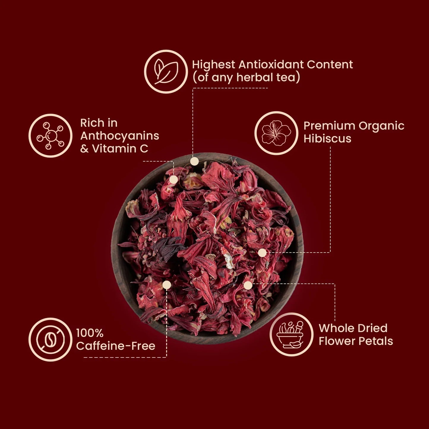 Hibiscus PQ